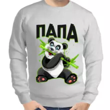 Толстовка мужская серая папа панда