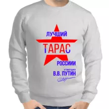 Толстовка мужская серая лучший Тарас России