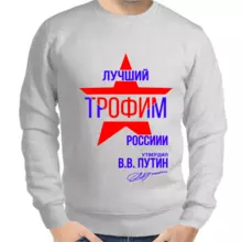 Толстовка мужская серая лучший Трофим России