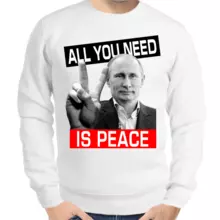 Свитшот мужской серый с Путиным all you need is peace