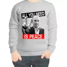 Свитшот детский серый с Путиным all you need is peace