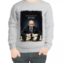 Свитшот детский серый с Путиным гроссмейстер