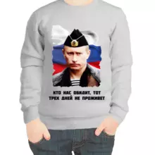 Свитшот детский серый с Путиным в пилоте кто нас обидит трех дней не проживет