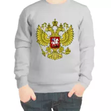 Свитшот детский серый с гербом России