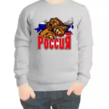 Свитшот детский серый Россия с медведем 3