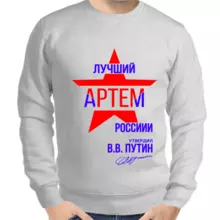 Именные толстовки мужские серые лучший Артем России