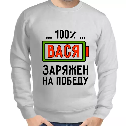 Именные толстовки мужские серые 100% Вася заряжен на победу