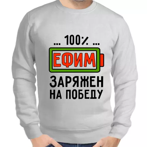 Толстовка мужская серая 100% Ефим заряжен на победу