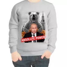 Свитшот детский серый с Путиным absolute power