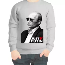Свитшот детский серый с Путиным just