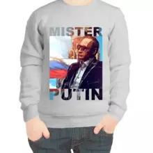 Свитшот детский серый с Путиным mister Putin