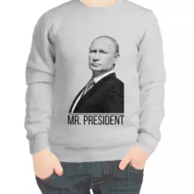 Свитшот детский серый с Путиным mr. Prezident 3