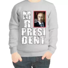 Свитшот детский серый с Путиным mr. Prezident 4