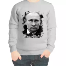 Свитшот детский серый с Путиным one & only
