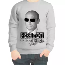 Свитшот детский серый с Путиным president of great Russia 2
