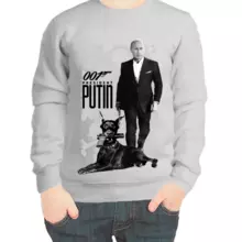 Свитшот детский серый с Путиным 001 president Putin