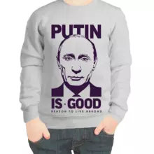 Свитшот детский серый с Путиным Putin is good
