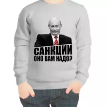 Свитшот детский серый с Путиным санкции оно вам надо