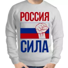 Свитшот мужской серый Россия сила