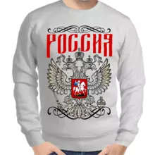 Свитшот мужской серый Россия с Путиным