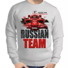 Свитшот мужской серый Russia team