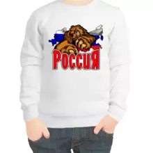 Свитшот детский белый Россия с медведем 3