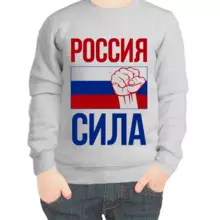 Свитшот детский серый Россия сила