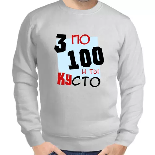 Свитшот мужской серый 3  по 100 и я кусто