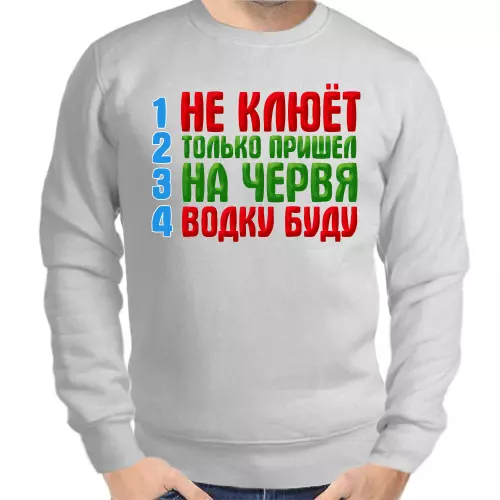 Свитшот мужской серый  не клюет только пришел на червя водку буду 2