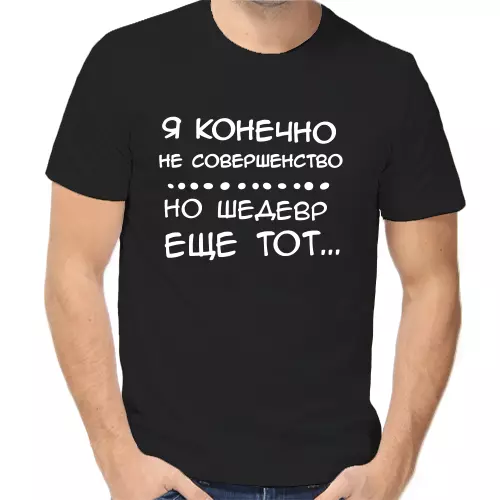 Футболка унисекс черная я конечно не совершенство но шедевр еще тот 2